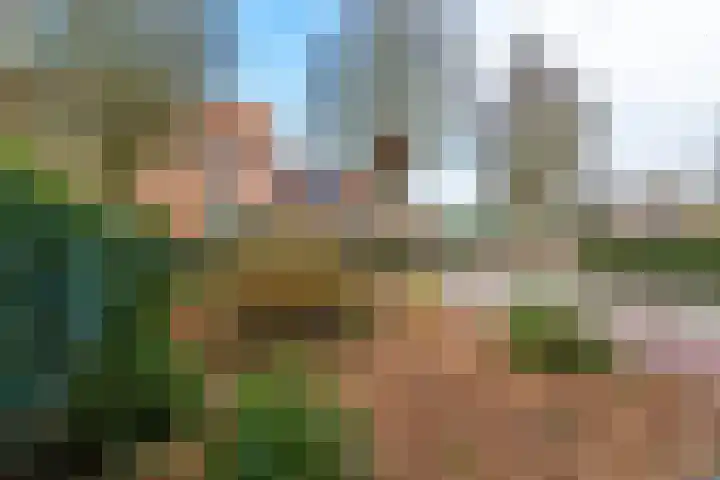 Tulpenlaan 14 Winkel thumbnail 68