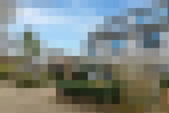 Tulpenlaan 14 Winkel thumbnail 69