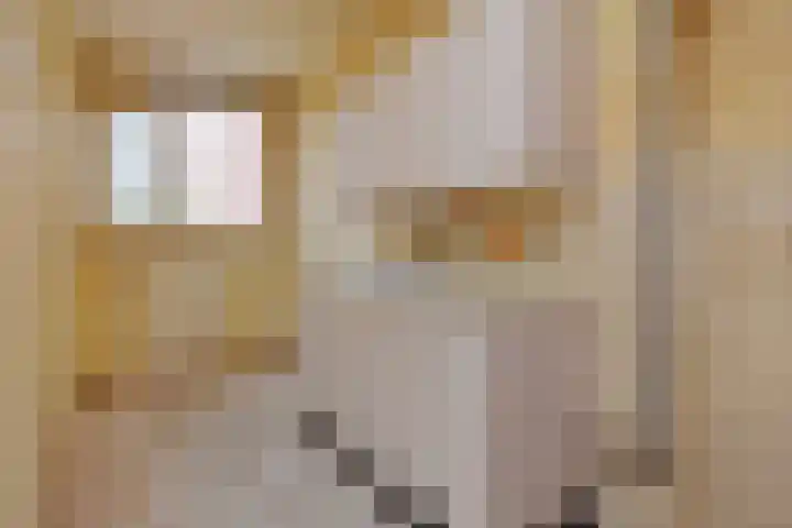 Tulpenpad 4 Gouda thumbnail 10