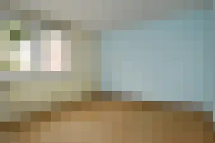 Tulpenpad 4 Gouda thumbnail 26