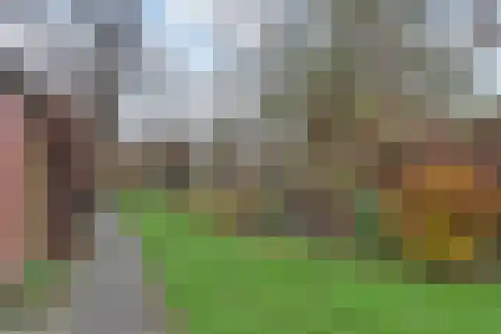 Tulpenpad 4 Gouda thumbnail 30