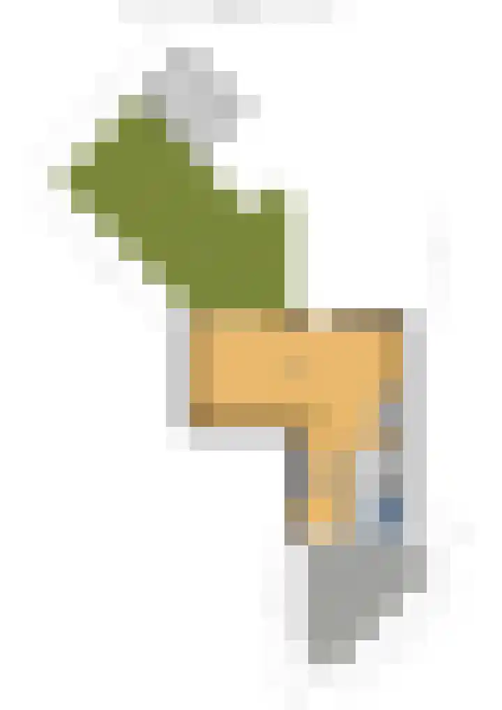 Tulpenpad 4 Gouda thumbnail 35