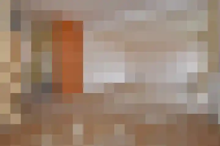 Tulpenpad 4 Gouda thumbnail 6