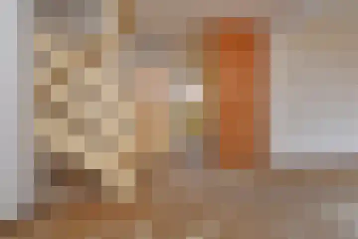 Tulpenpad 4 Gouda thumbnail 9