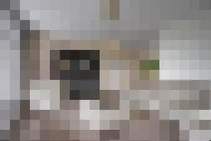 Tulpensingel 17 Woudenberg thumbnail 11