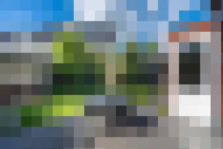 Tulpensingel 17 Woudenberg thumbnail 30