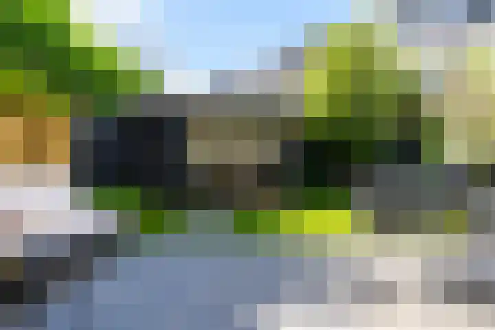 Tulpensingel 17 Woudenberg thumbnail 34