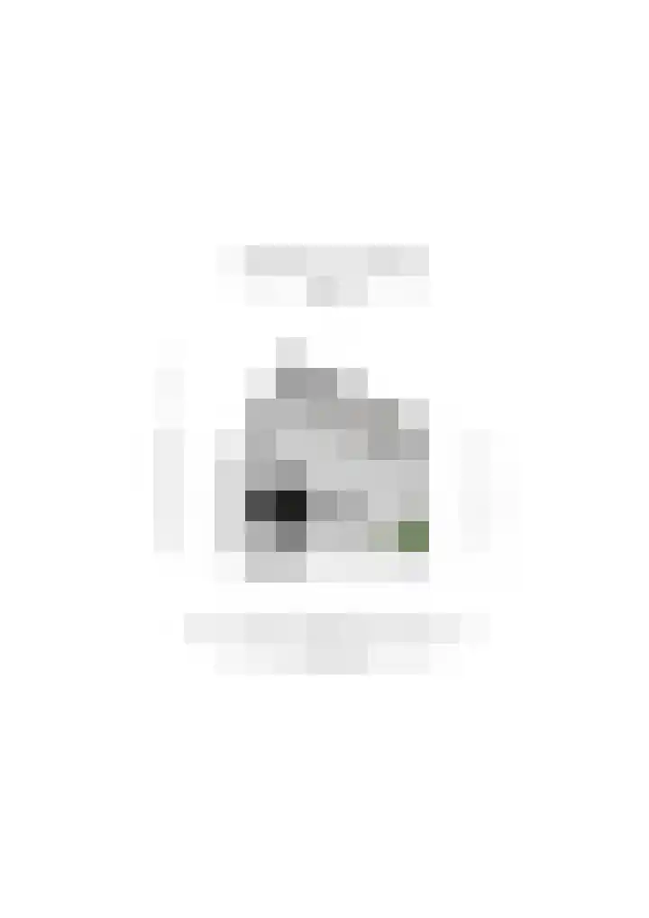 Tulpensingel 17 Woudenberg thumbnail 39
