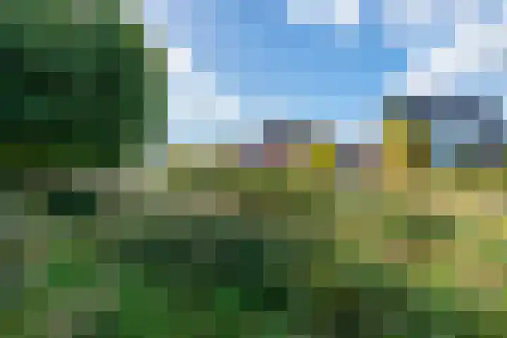 Tulpensingel 17 Woudenberg thumbnail 7