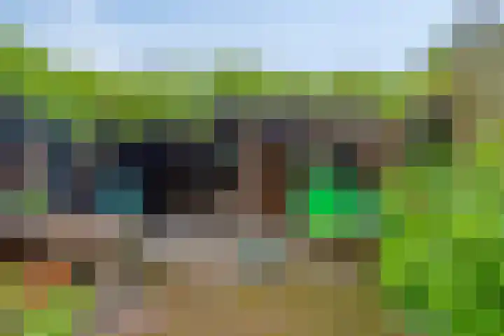 Tulpstraat 11 Hattem thumbnail 31