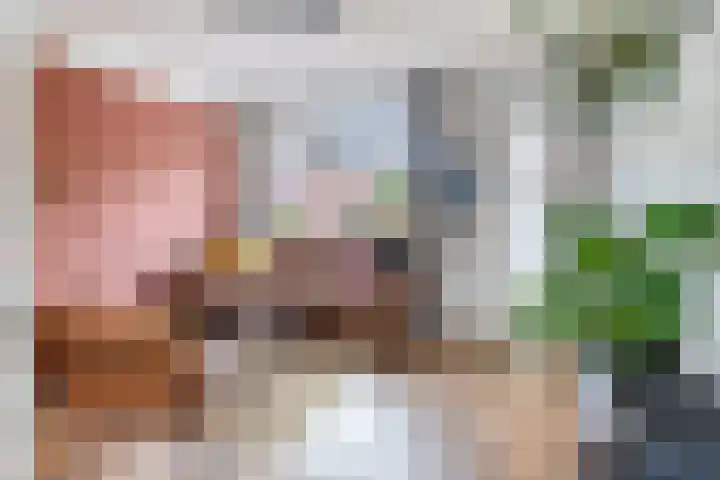 Tulpstraat 11 Hattem thumbnail 4