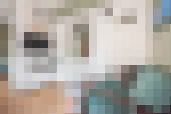 Tulpstraat 14 Gendringen thumbnail 16