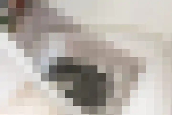 Tulpstraat 14 Gendringen thumbnail 20