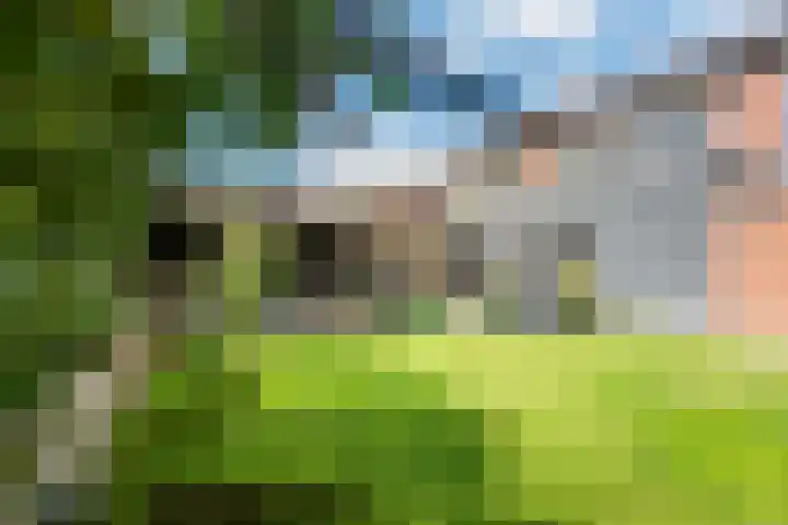 Tulpstraat 14 Gendringen thumbnail 38