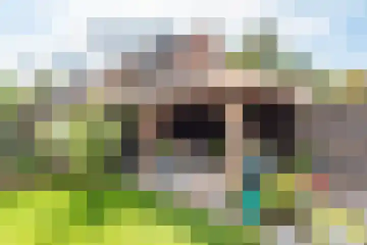 Tulpstraat 14 Gendringen thumbnail 39