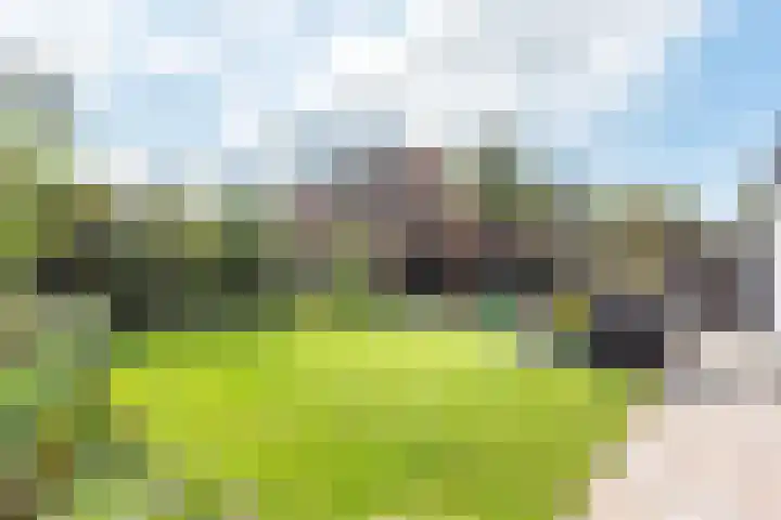 Tulpstraat 14 Gendringen thumbnail 4