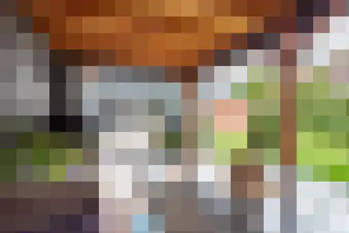Tulpstraat 14 Gendringen thumbnail 41