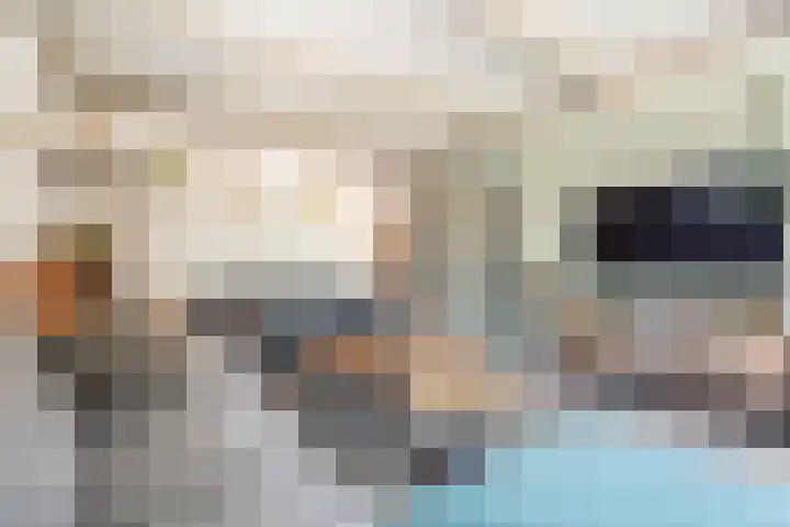 Tulpstraat 14 Gendringen thumbnail 8