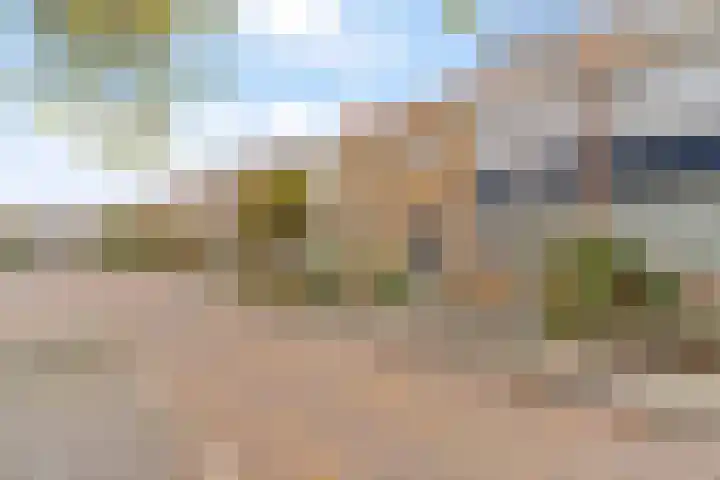 Tulpstraat 19 Noordwijk thumbnail 30