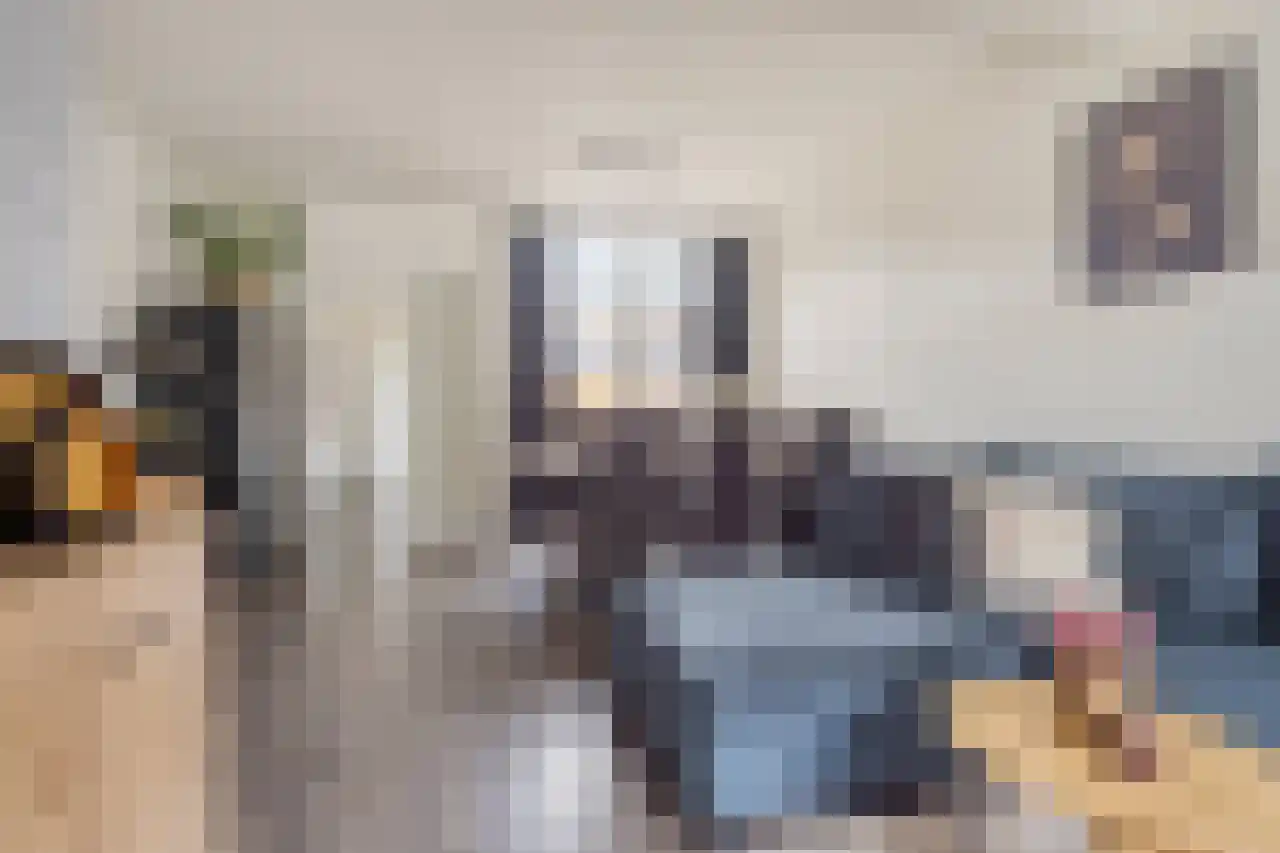 Tulpstraat 19 Tiel thumbnail 14
