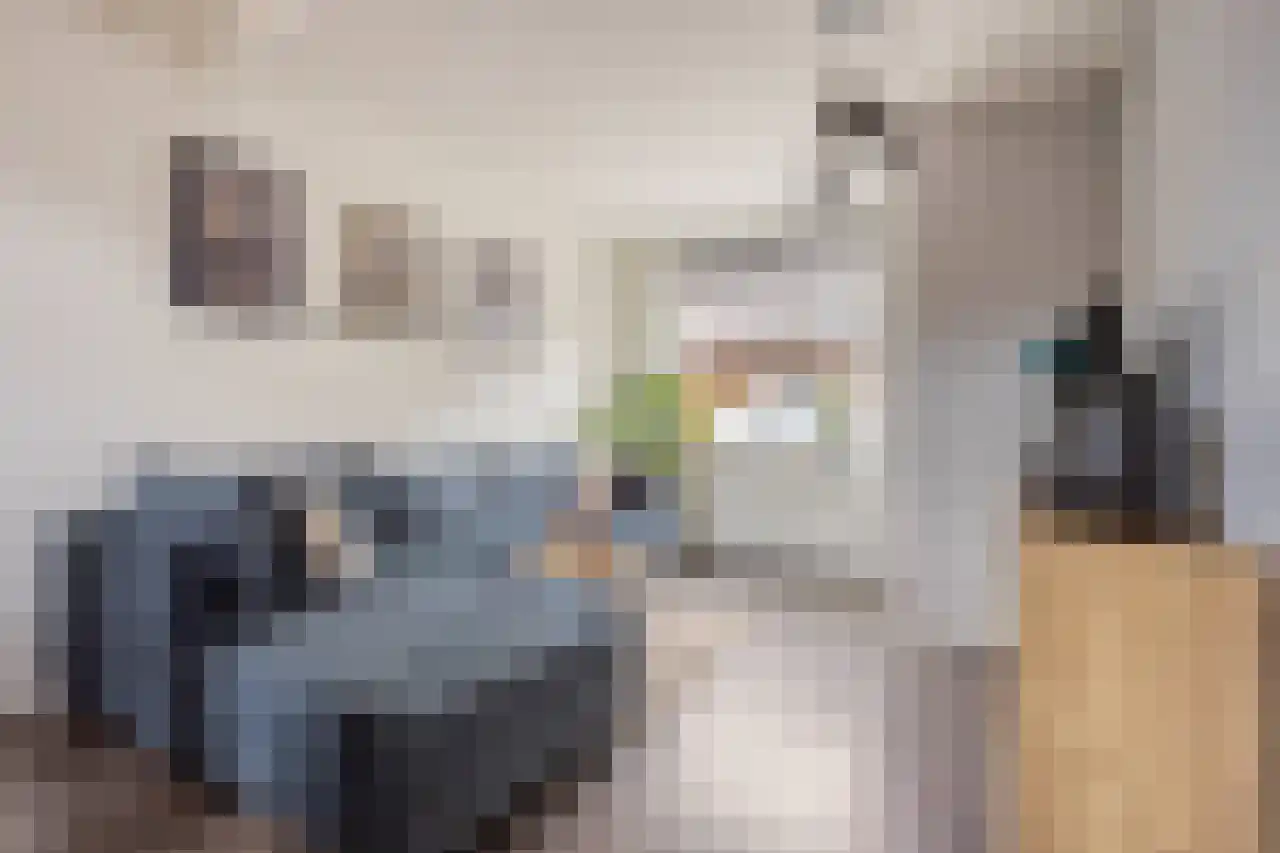 Tulpstraat 19 Tiel thumbnail 15
