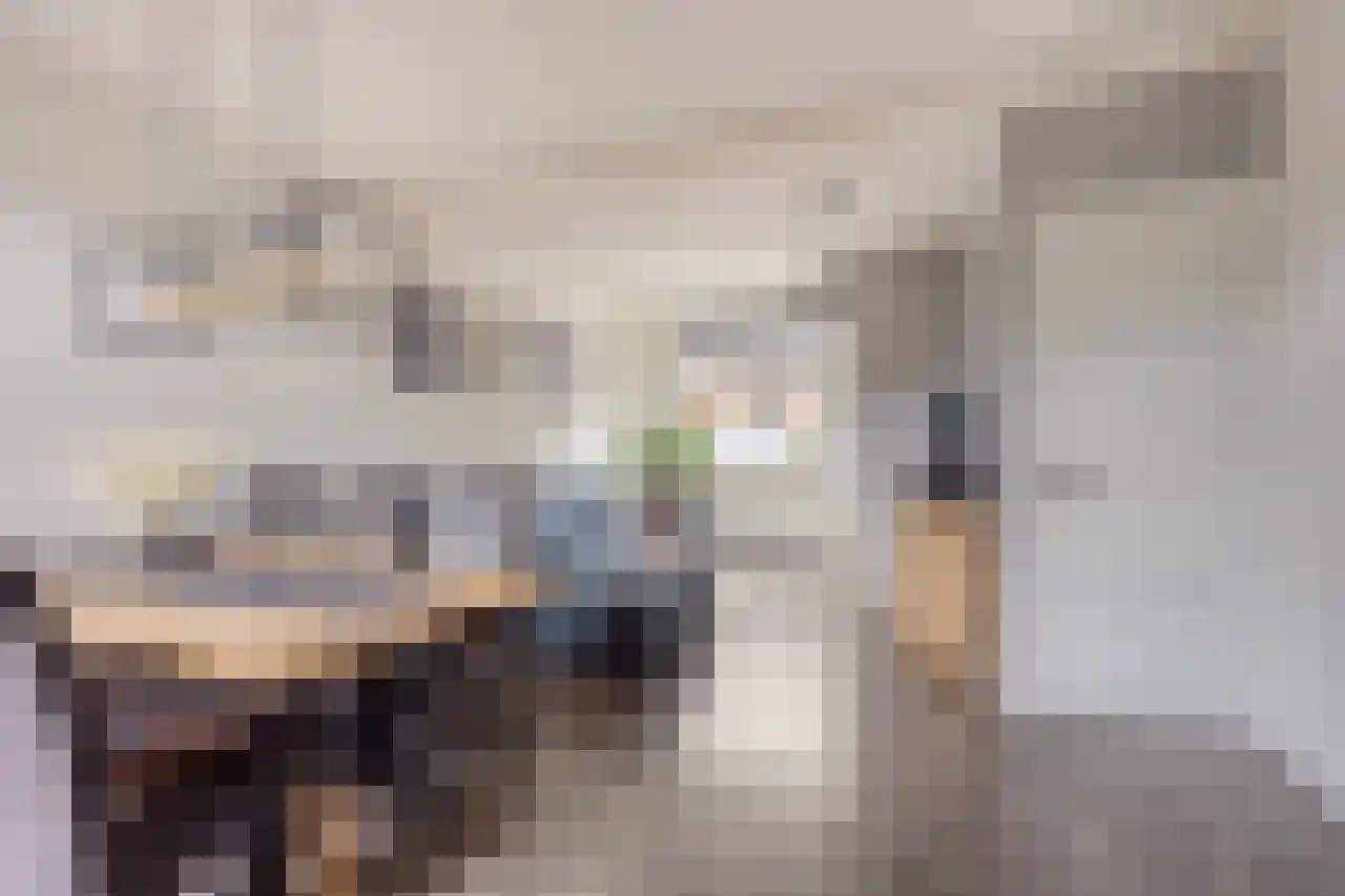 Tulpstraat 19 Tiel thumbnail 19