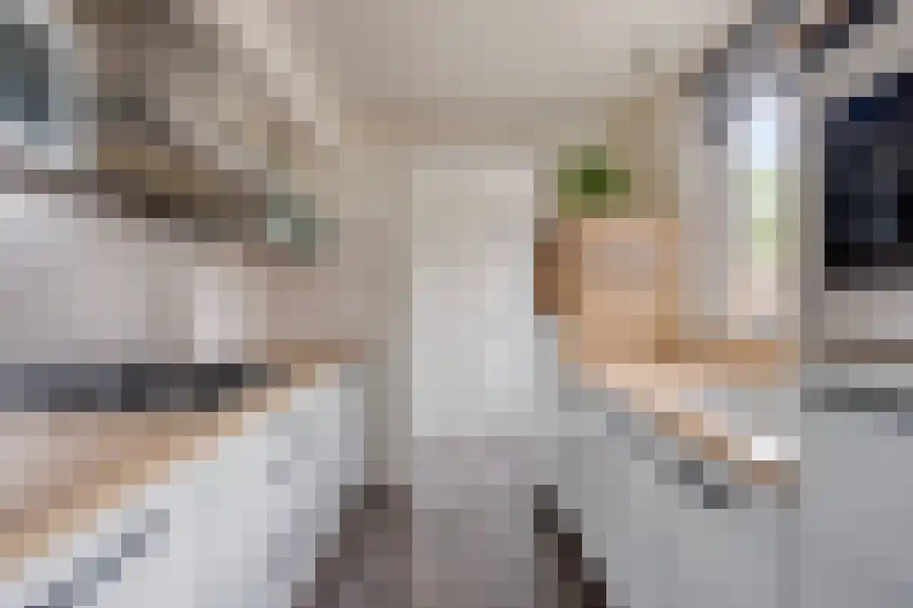 Tulpstraat 19 Tiel thumbnail 21