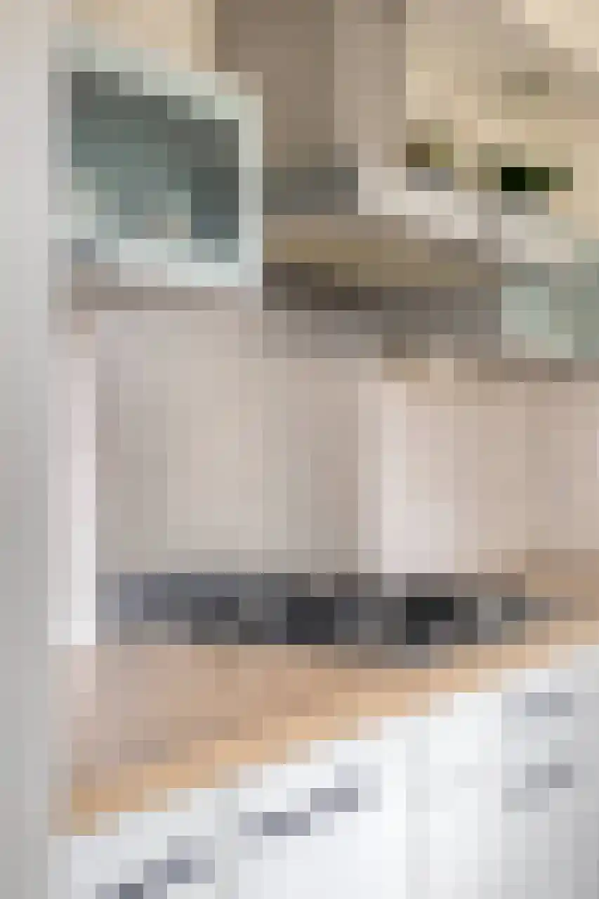 Tulpstraat 19 Tiel thumbnail 22