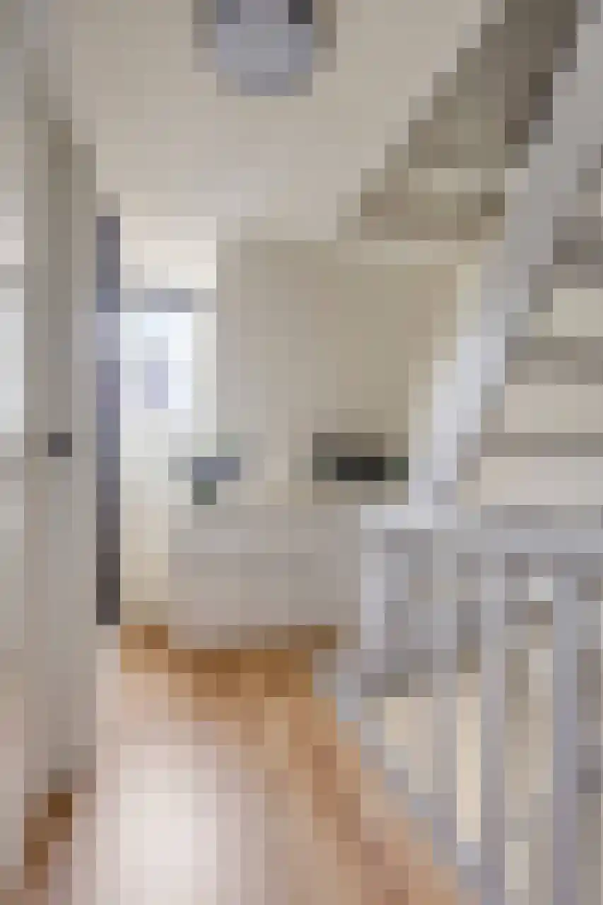 Tulpstraat 19 Tiel thumbnail 31