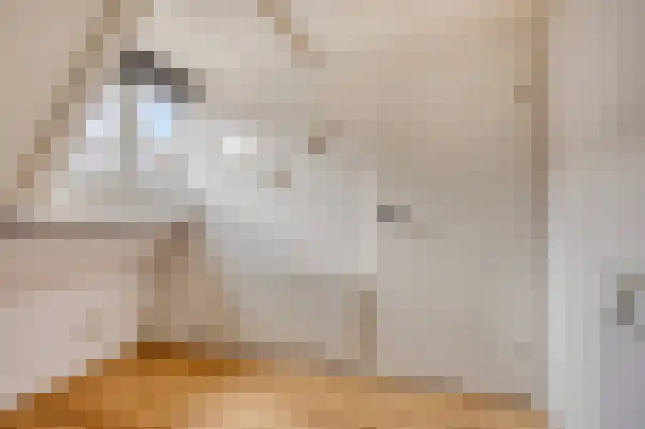 Tulpstraat 19 Tiel thumbnail 36