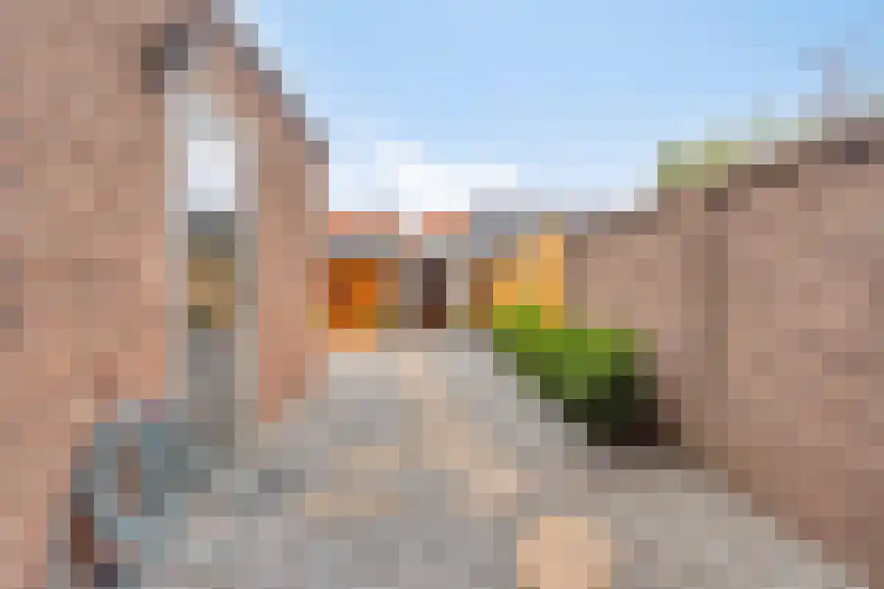 Tulpstraat 19 Tiel thumbnail 39