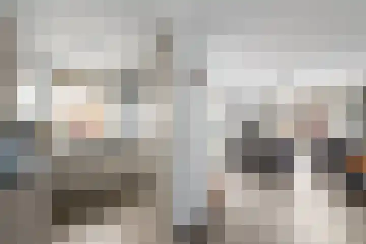 Tulpstraat 19 Wolvega thumbnail 13