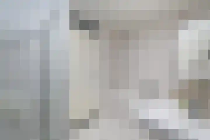 Tulpstraat 19 Wolvega thumbnail 21