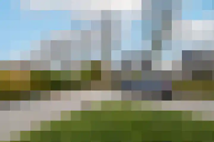 Tulpstraat 19 Wolvega thumbnail 28