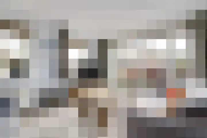 Tulpstraat 19 Wolvega foto 3