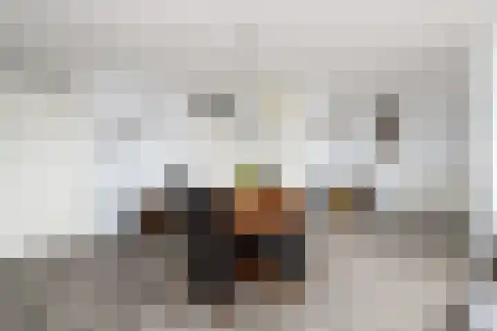 Tulpstraat 19 Wolvega thumbnail 6