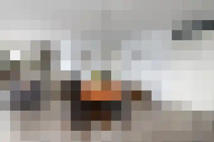 Tulpstraat 19 Wolvega thumbnail 7