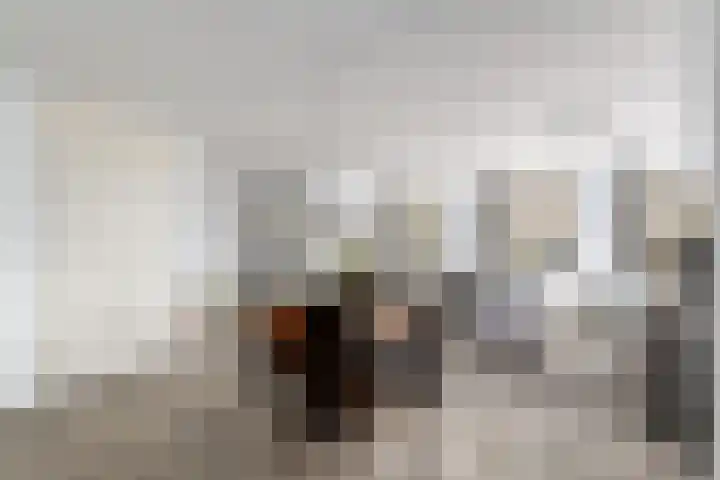Tulpstraat 19 Wolvega thumbnail 8