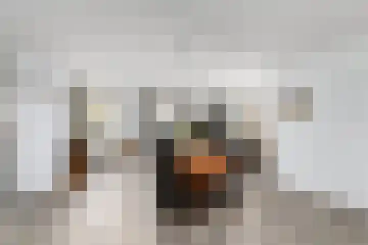 Tulpstraat 19 Wolvega thumbnail 9