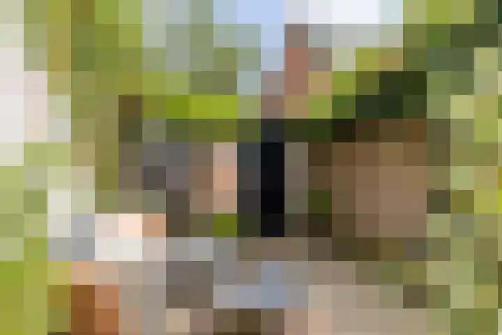 Tulpstraat 23 Baarn thumbnail 18