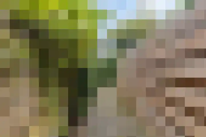 Tulpstraat 23 Baarn thumbnail 23