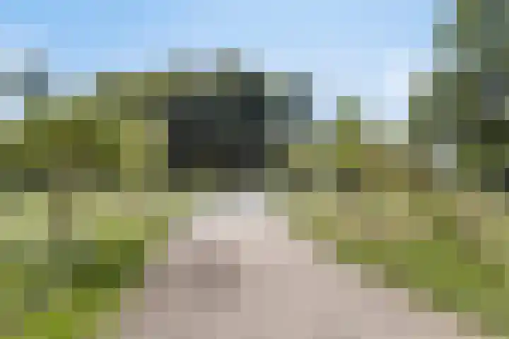 Tulpstraat 23 Baarn thumbnail 34
