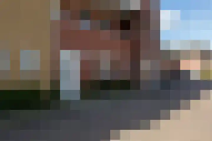 Tulpstraat 25 Sneek thumbnail 27