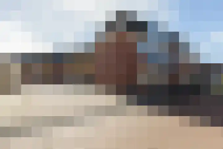 Tulpstraat 25 Sneek thumbnail 28
