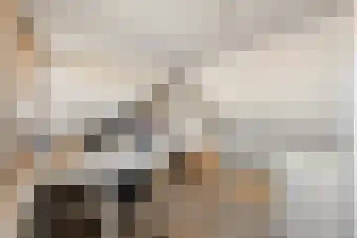 Tulpstraat 26 Woerden thumbnail 30