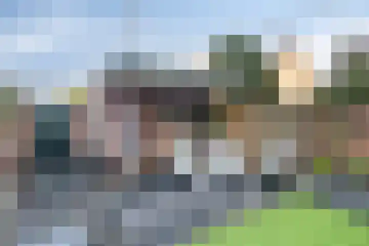 Tulpstraat 26 Woerden thumbnail 32