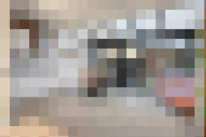 Tulpstraat 26 Woerden thumbnail 4