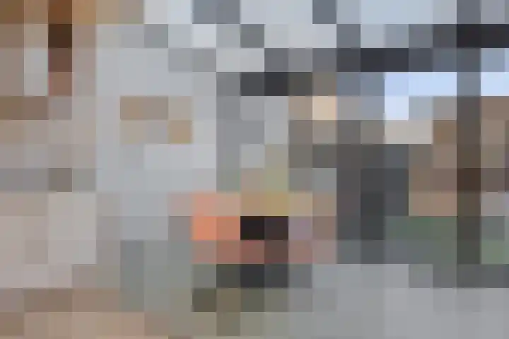 Tulpstraat 26 Woerden thumbnail 8