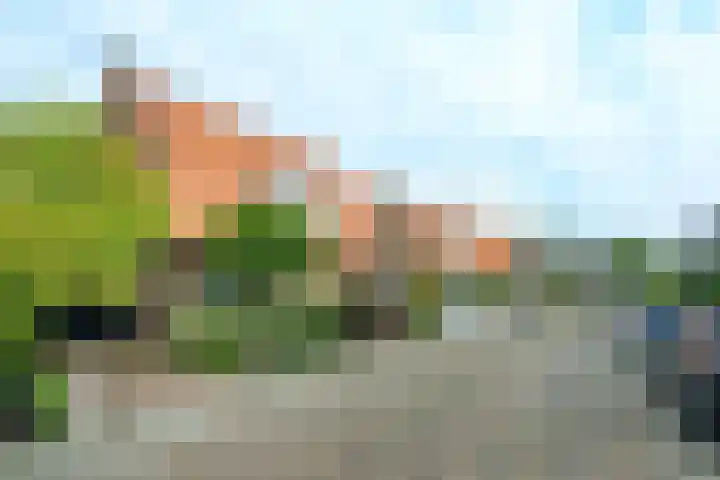 Tulpstraat 30 Baarn thumbnail 19