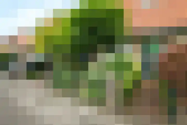 Tulpstraat 30 Baarn thumbnail 20